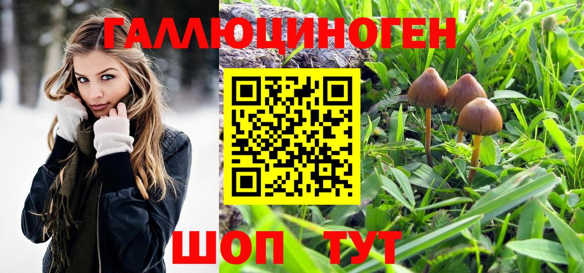 Псилоцибиновые грибы ЛСД  Вход с VPN  Саров  Галлюциногенные грибы мухоморы 