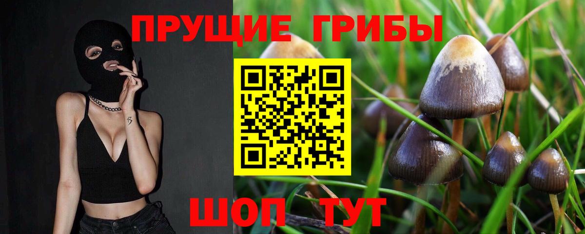 Галлюциногенные грибы Magic Shrooms Саров
